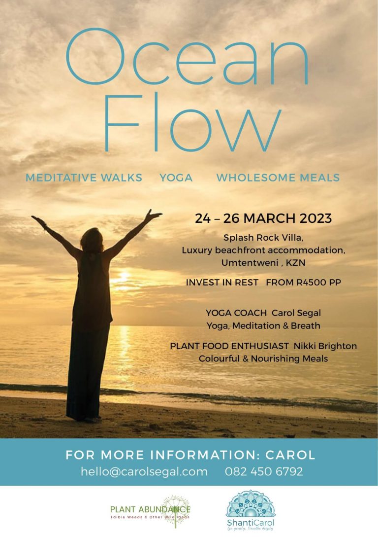 Ocean Flow Yoga and wellness retreat